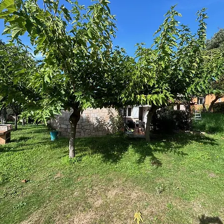 Caseddu Jardin Et Vakantiehuis *