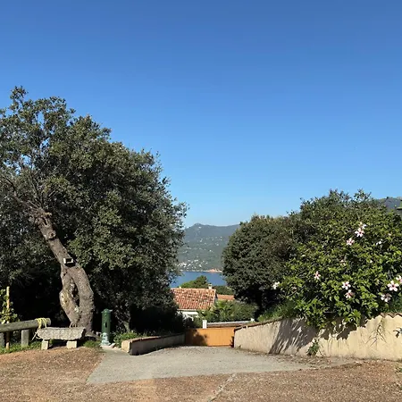 Caseddu Jardin Et 度假居